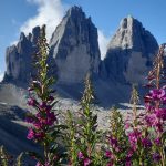 mountains-4619170_1920